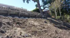 Samples of my Landscaping Designs