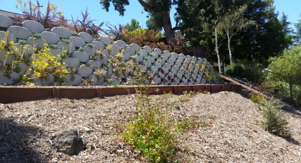 Samples of my Landscaping Designs